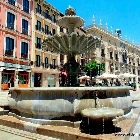 Отель Plaza Nueva